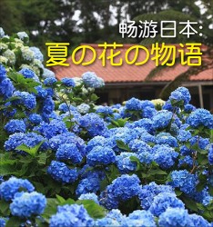 畅游日本: 夏の花の物语